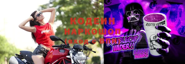 ПСИЛОЦИБИНОВЫЕ ГРИБЫ Арсеньев