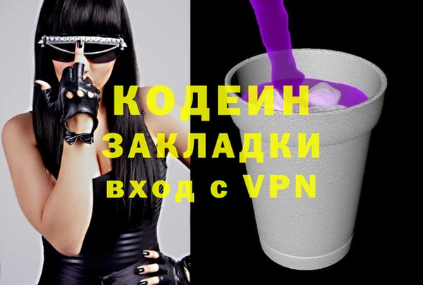 ПСИЛОЦИБИНОВЫЕ ГРИБЫ Арсеньев