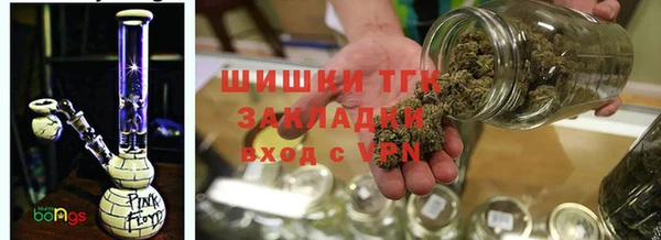ПСИЛОЦИБИНОВЫЕ ГРИБЫ Арсеньев