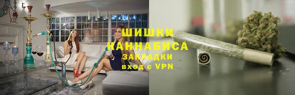 ПСИЛОЦИБИНОВЫЕ ГРИБЫ Арсеньев