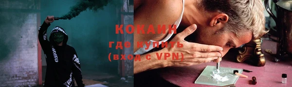 индика Армянск