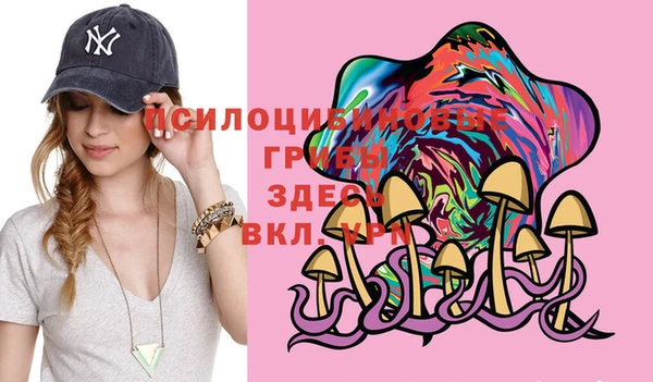 индика Армянск