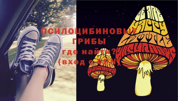 твердый Нефтегорск