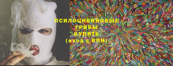 индика Армянск