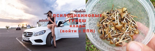 индика Армянск