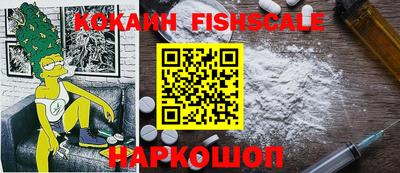 дмт Гай