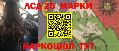 дмт Гай
