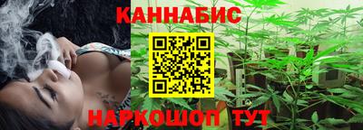 дмт Гай