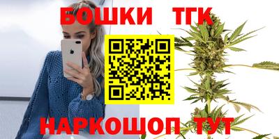 дмт Гай
